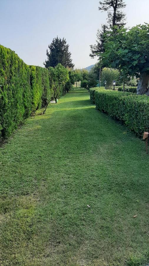 Casale Battaglini Bed & Breakfast Castelnuovo Cilento Exterior photo