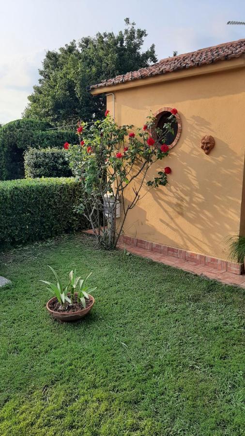 Casale Battaglini Bed & Breakfast Castelnuovo Cilento Exterior photo